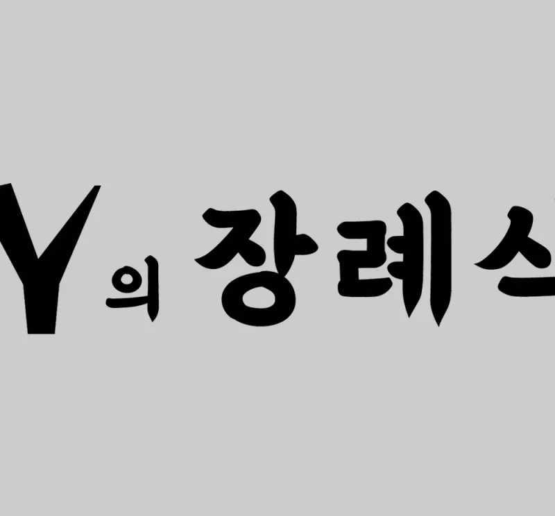 Y의 장례식
